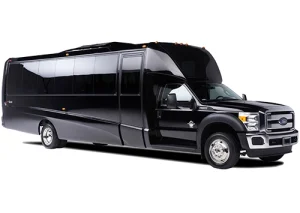 Party Bus 2