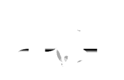 logo11